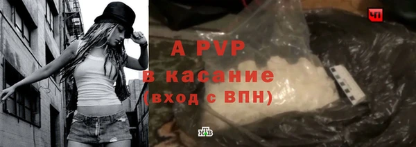 крисы Магадан