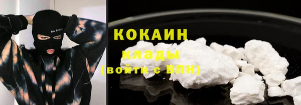 крисы Магадан
