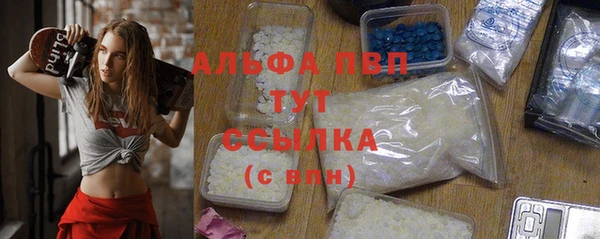 крисы Магадан