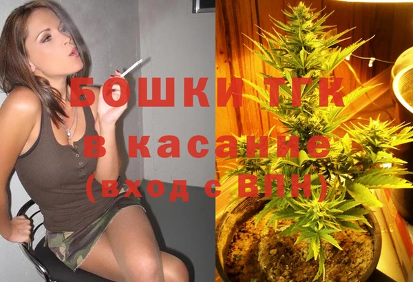 крисы Магадан