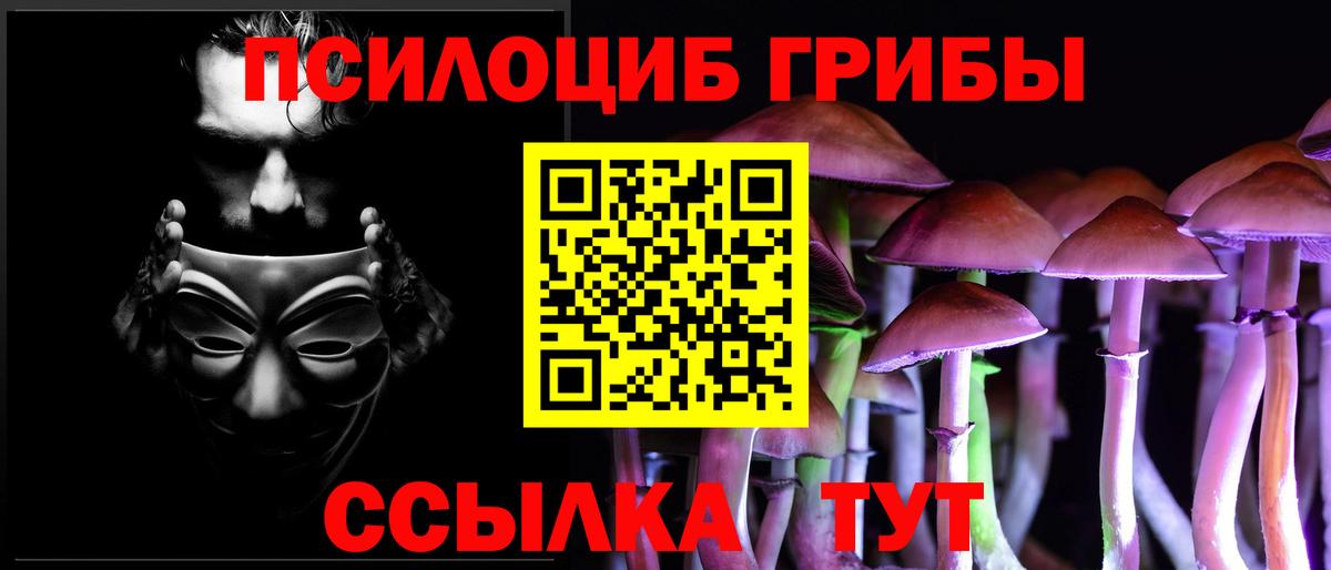 Галлюциногенные грибы Cubensis Комсомольск-на-Амуре
